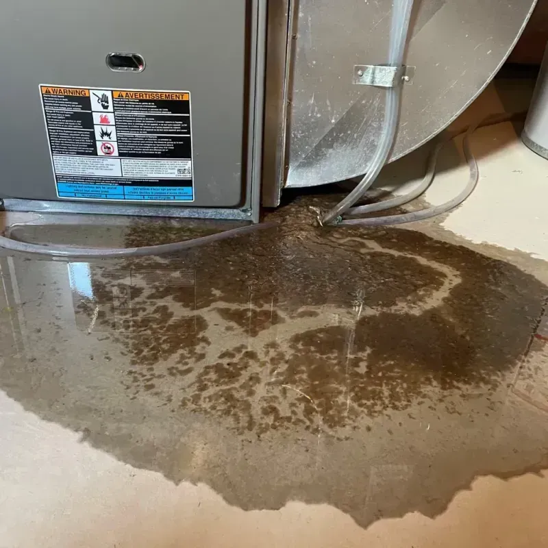 Appliance Leak Cleanup in Greenwood, AR